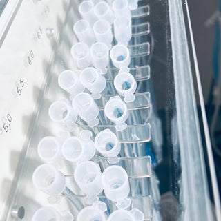 Endotracheal Tubes Rack